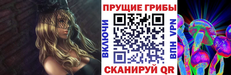 площадка формула МЕГА ССЫЛКА Мураши Псилоцибиновые грибы Psilocybine cubensis