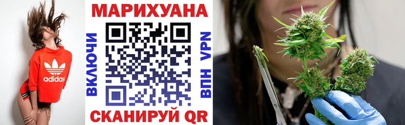 Каннабис планчик  Мураши 
